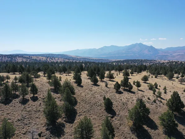 Tl 2400 Wiley Creek Rd, Mount Vernon, OR 97865