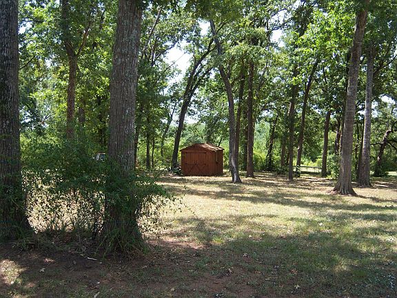Back Yard and Cedar Shed