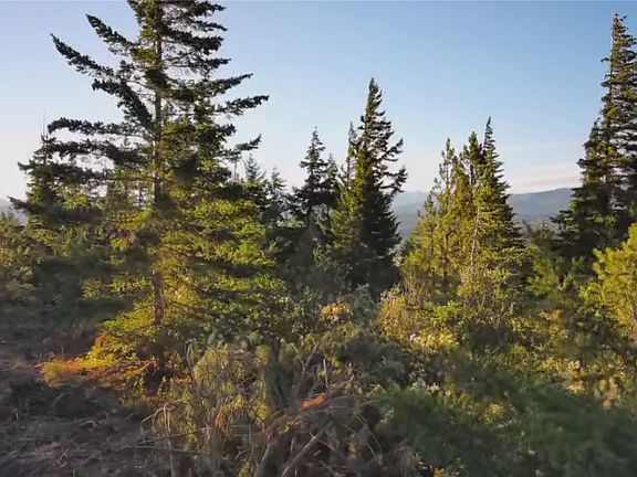 3rd image of 8440 Upper Peoh Point Rd