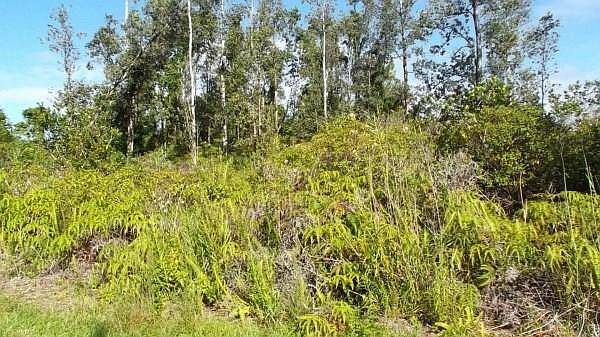 1st image of Lilikoi Dr Lot 60
