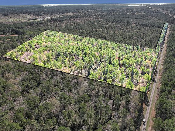 2nd image of County Road 302