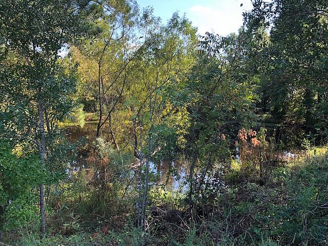 2nd image of 6484 County Road 33
