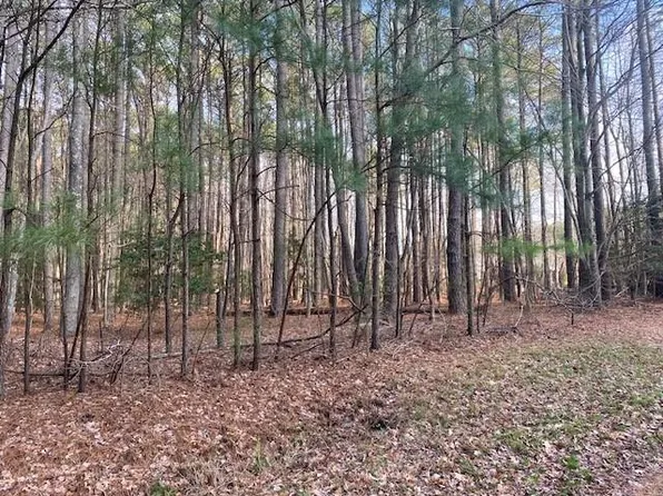 LOT 5 Peaceful Pond Dr, Exmore, VA 23350
