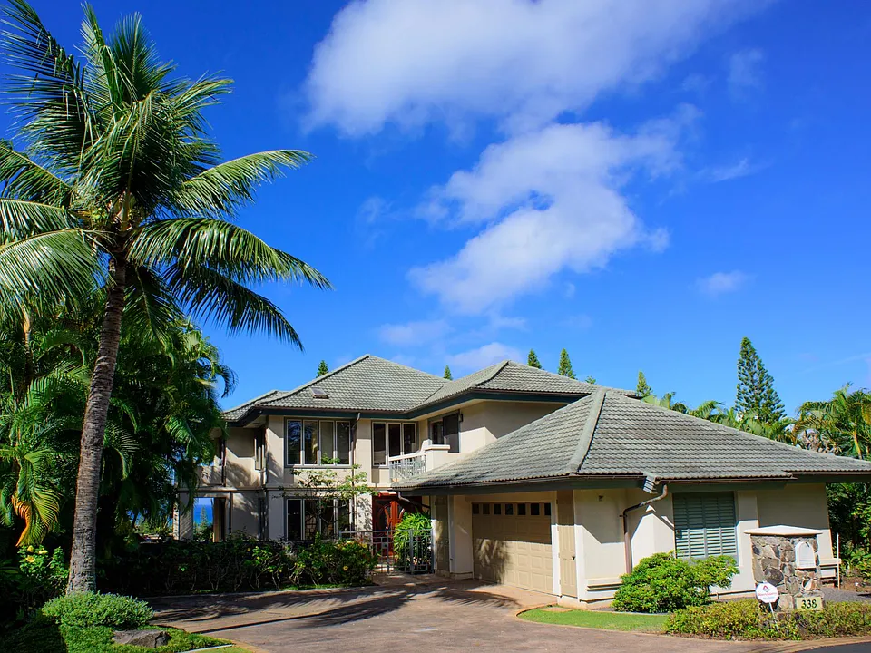 338 Cook Pine Dr