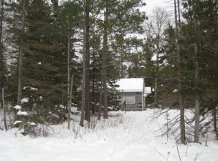 31195 S Prentiss Bay Rd, Goetzville, MI 49736