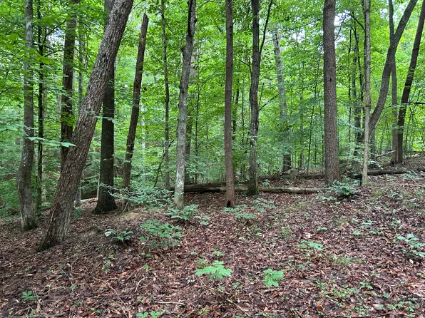 223 W Snowflake Rd, Surgoinsville, TN 37873