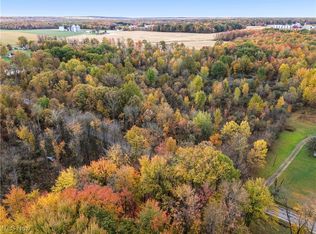 10 Bradley Brownlee Rd, Cortland, OH 44410