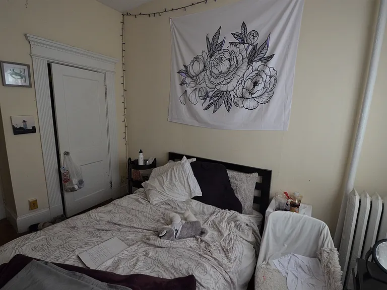 108 Peterborough St #1 — Photo 9