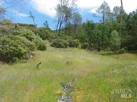 2nd image of 0 Snell Valley Rd./Butts Canyon Road