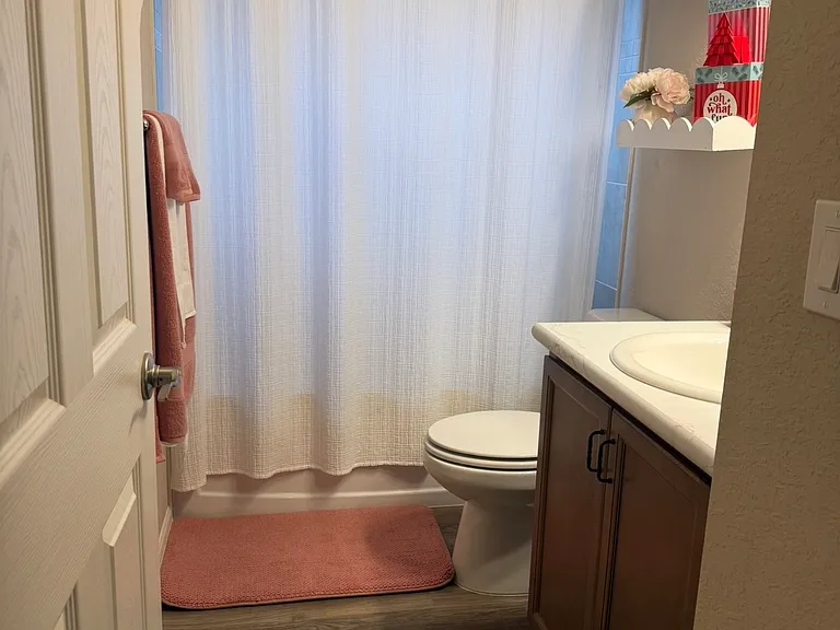 Guest bathroom
