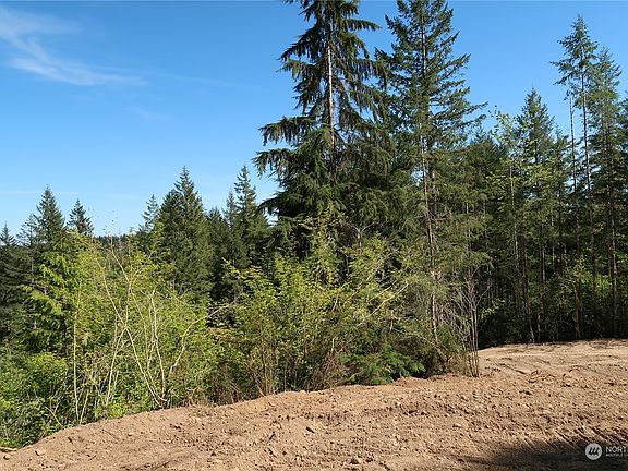 4th image of 291 NE Tahuya Valley Drive E