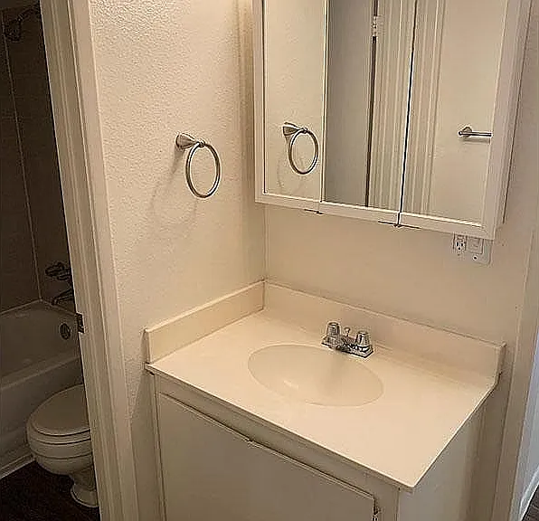 Gold Bathroom