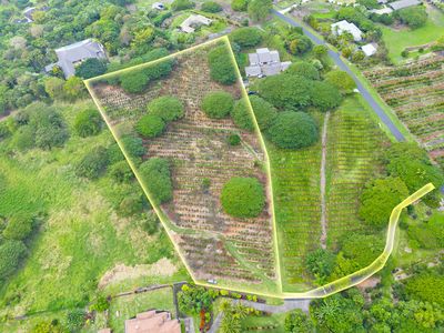 77-6223 Kaumalumalu Dr, Holualoa, HI, 96725