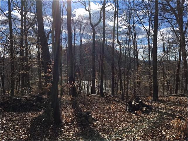 1st image of LOTS 255 & 256 Norris Shores Big Ridge Pt