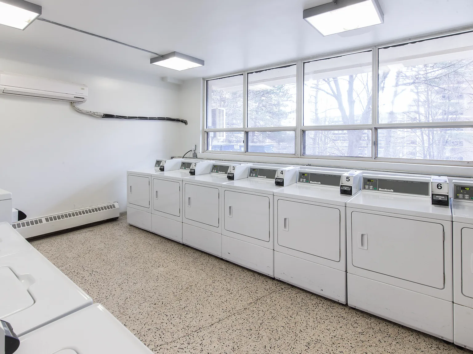 65 Halsey Avenue Toronto — Photo 4