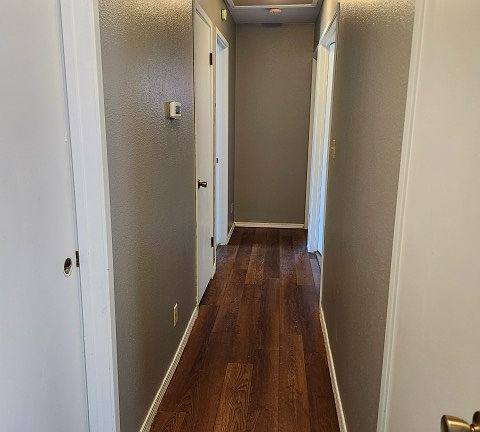 3rd image of 2329 Lido Cir