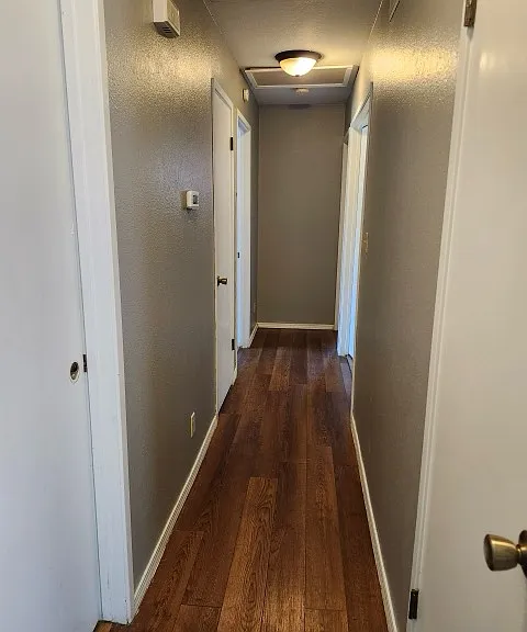 2329 Lido Cir — Photo 3