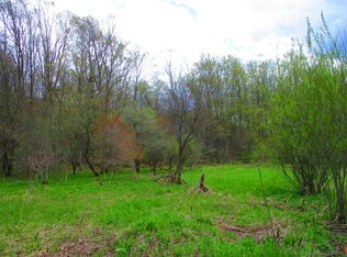 Ivan Mereness Rd, Decatur, NY 12197