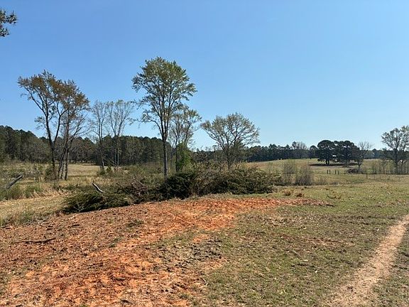 5th image of D 1 Dorcheat Rd