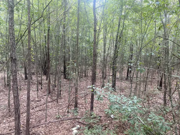 0 Tabernacle Rd, Salley, SC 29137