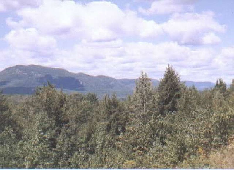 4th image of 75 BARTON Road