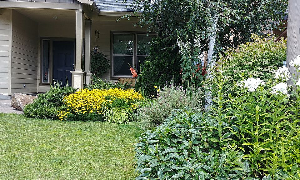 Front yard planter area