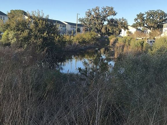 Pond in the center of the neighborhood is called home by many birds and crickets.
