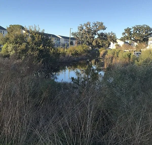 Pond in the center of the neighborhood is called home by many birds and crickets.