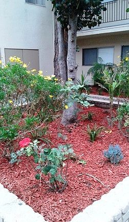 2nd image of 14517 Larch Ave APT 8