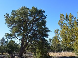 13887 Bly Station Rd #A, Williams, AZ 86046