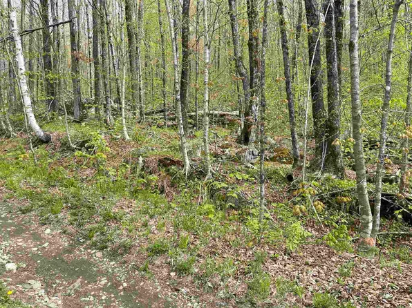 33 Heather Lane #33, Mendon, VT 05701