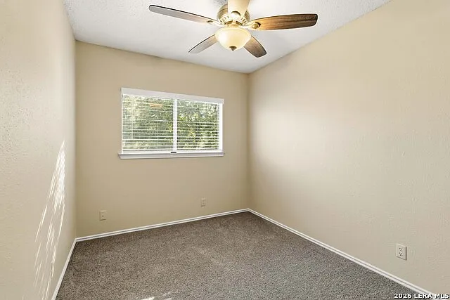 4102 Mystic Sunrise Dr — Photo 23