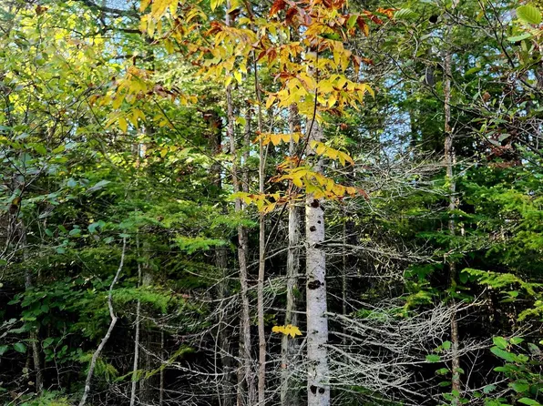 0 State Rd NE, Kalkaska, MI 49646