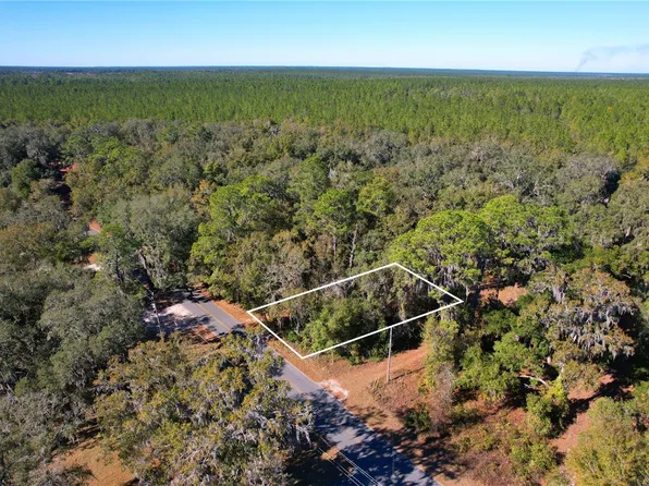00 HILLCREST DRIVE, FLORAHOME, FL 32140