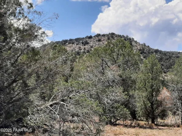 342 W Dragon Nest Rd, Seligman, AZ 86337