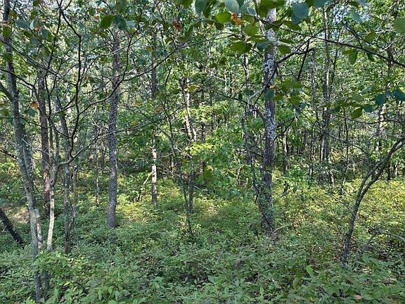 3rd image of Wintergreen St