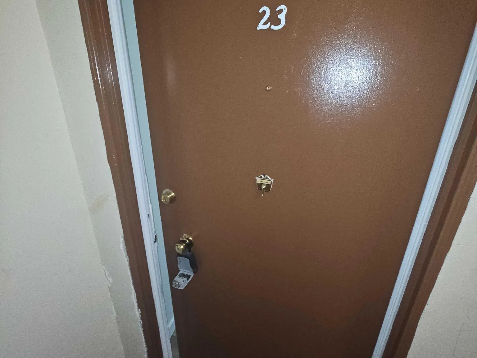 Studio, $1,695 — Photo 4