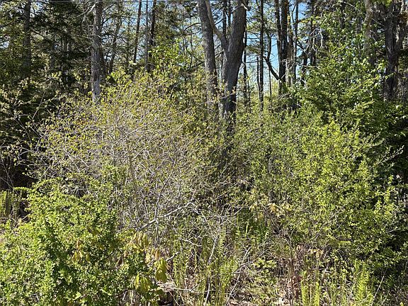 5th image of Lot 116010 Martin Point Road