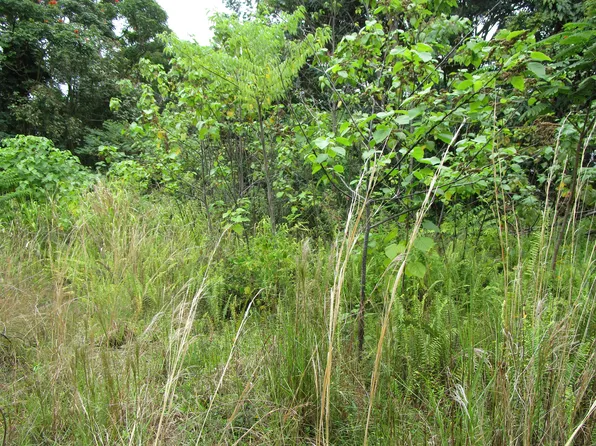 923 Kaumana Dr Lot 1, Hilo, HI 96720