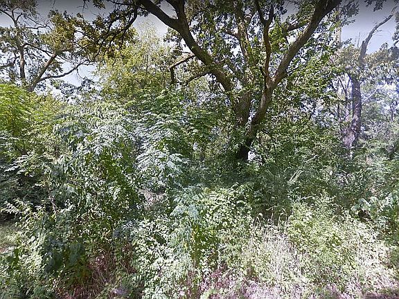 2nd image of 0 N Olive St