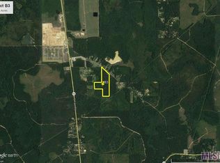 B 3 Oliver Wheat Rd, Livingston, LA 70754