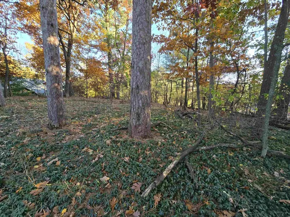 Cree Ave, Wautoma, WI 54982