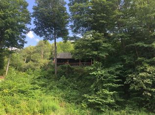 604 Gregory Hollow Rd, Hamden, NY 13782