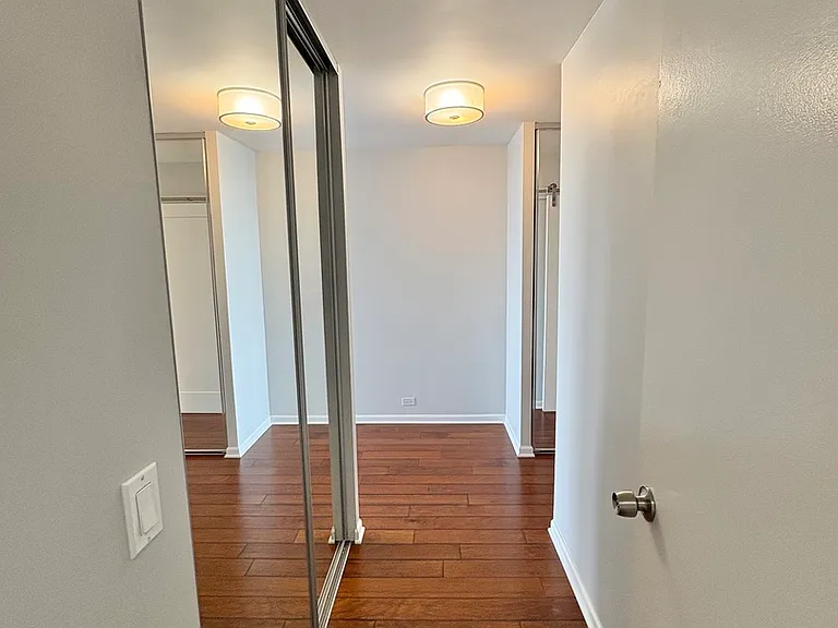 155 N Harbor Dr #2411 — Photo 13