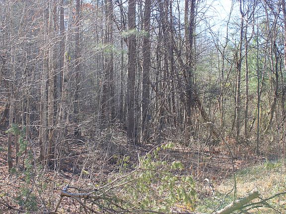 5th image of Speedwell Ln
