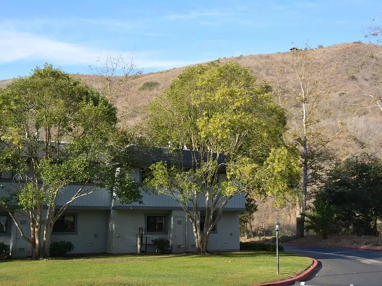 1225 Rebecca Ln #B — Photo 19