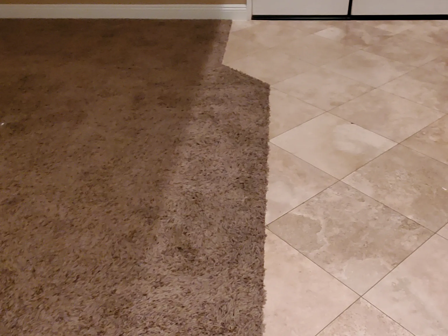 5 bed, 3142 sqft, $4,200 — Photo 3