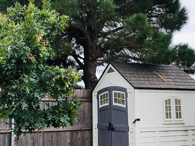 This is one of my favorite bonuses...there is a Tough Shed in the backyard. Perfect for lawn equipment, storage, extra toys, Christmas decor...whatever you need.