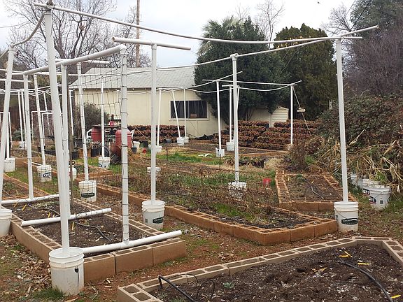 Winter - Garden