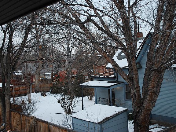 Backyard- fully fenced